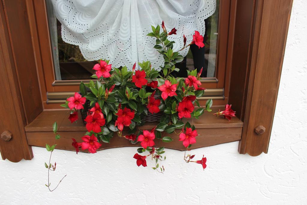 Haus Almrausch Hotel Зеефелд в Тирол Стая снимка